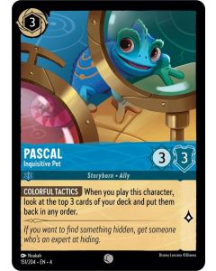 Pascal - Inquisitive Pet